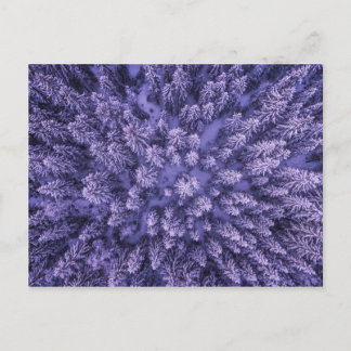 ノルウェーの雪の森 ポストカード