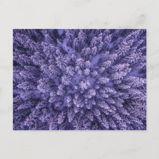 ノルウェーの雪の森 ポストカード (正面)