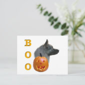 ノルウェーエルクハウンドハロウィーンブー ポストカード (スタンド正面)
