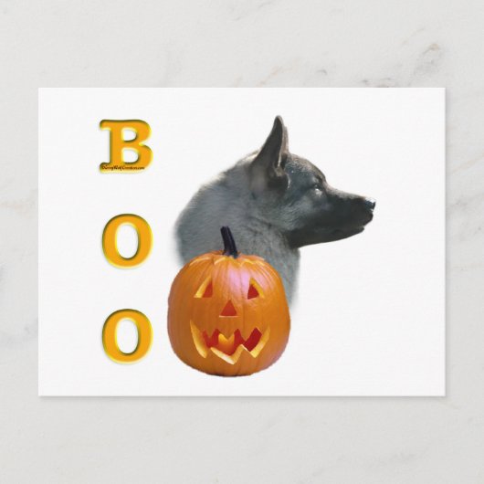 ノルウェーエルクハウンドハロウィーンブー ポストカード (正面)