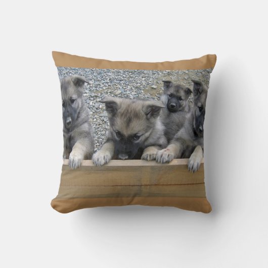 ノルウェーエルクハウンドパピーズ クッション (正面)