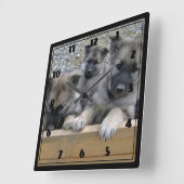 ノルウェーエルクハウンドパピーズ スクエア壁時計 (傾斜)