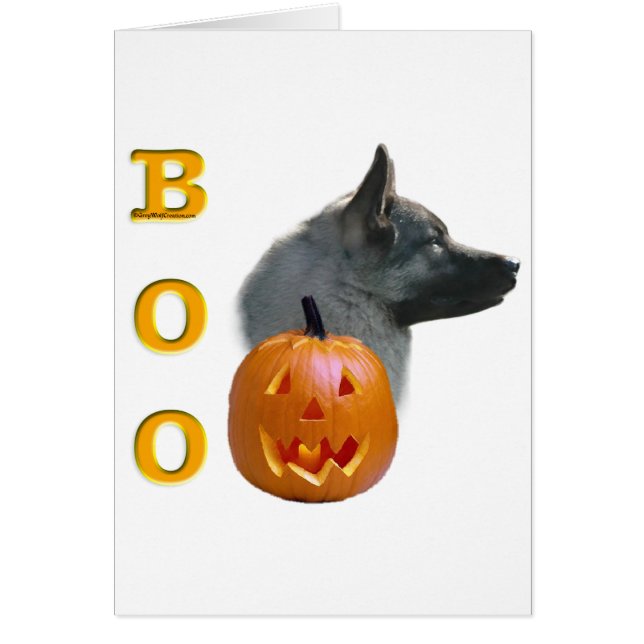 ノルウェーエルクハウンドブー (正面)