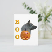 ノルウェーエルクハウンドブー ポストカード (スタンド正面)