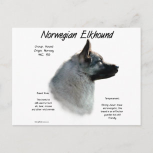 ノルウェーエルクハウンド履歴デザイン ポストカード