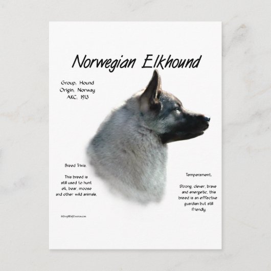 ノルウェーエルクハウンド履歴デザイン ポストカード (正面)