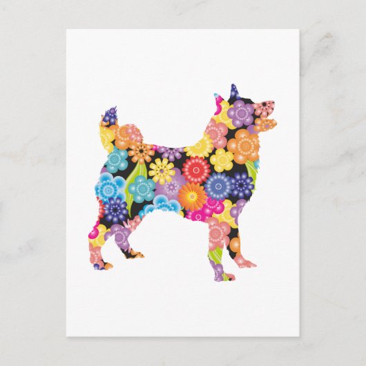 ノルウェーエルクハウンド ポストカード (正面)