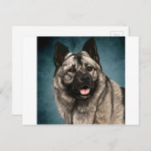 ノルウェーエルクハウンド ポストカード (正面/裏面)