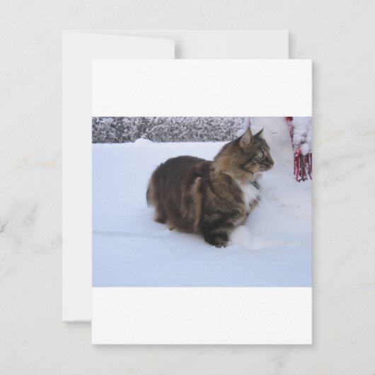 ノルウェージャンフォレストキャットが雪の中で シーズンカード (正面)