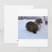 ノルウェージャンフォレストキャットが雪の中で シーズンカード (正面/裏面)
