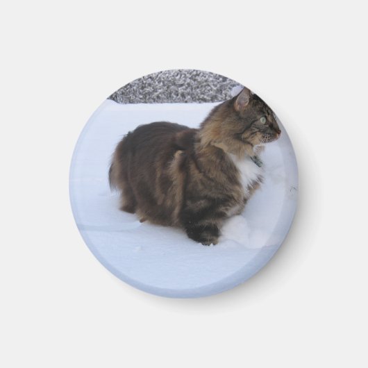 ノルウェージャンフォレストキャットが雪の中で マグネット (正面)