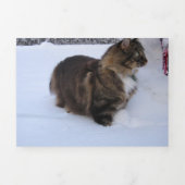ノルウェージャンフォレストキャットが雪の中で 三つ折りプログラム (カバー)