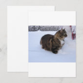 ノルウェージャンフォレストキャットが雪の中にいる メニュー (正面/裏面)