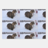 ノルウェージャンフォレストキャットが雪の中にいる ラッピングペーパーシート (正面3)