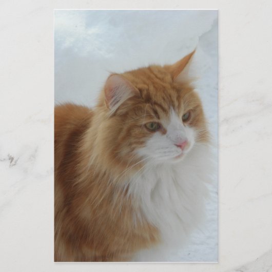 ノルウェージャン_フォレストキャット 便箋 (正面)