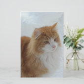 ノルウェージャン_フォレストキャット 便箋 (スタンド正面)