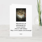 ノルウェージャン・フォレスト・キャット 想い出のカード カード (裏面)