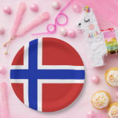 ノルウェースカンジナビア国旗 ペーパープレート (パーティー)