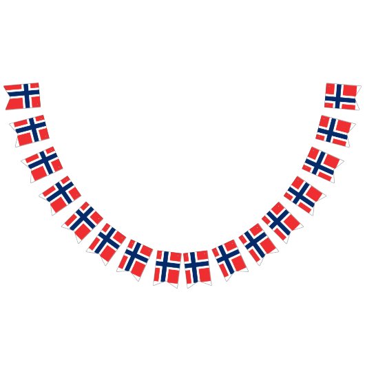 ノルウェーフラグ バンティングフラッグ (全)