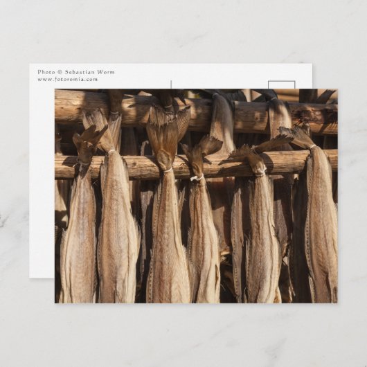 ノルウェーロフォテンストックフィッシュ ポストカード (正面/裏面)