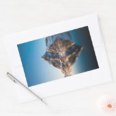 ノルウェーロフォテンマウンテン 長方形シール (封筒)