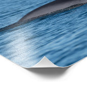 ノルウェー北部のミンククジラとカモメ自然 フォトプリント            (角)