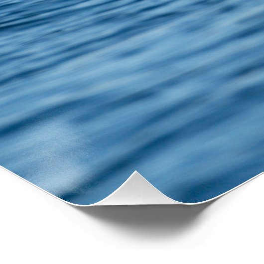 ノルウェー北部のミンククジラとカモメ自然 ポスター (コーナー)