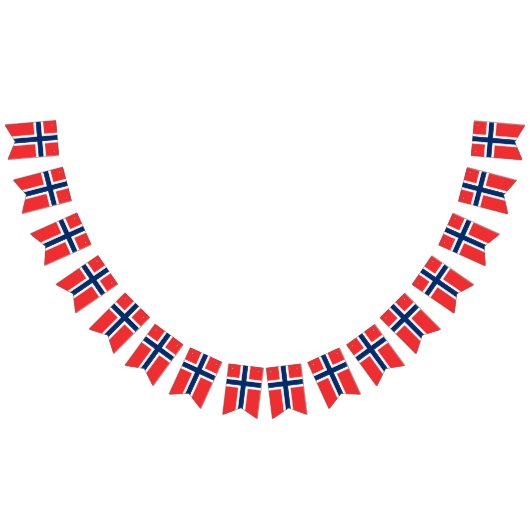 ノルウェー国旗とパーティーノルウェーのバナー/結婚式 バンティングフラッグ (全)