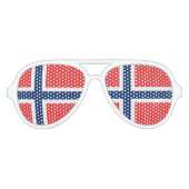 ノルウェー国旗パーティーサングラス アビエーターサングラス (正面)