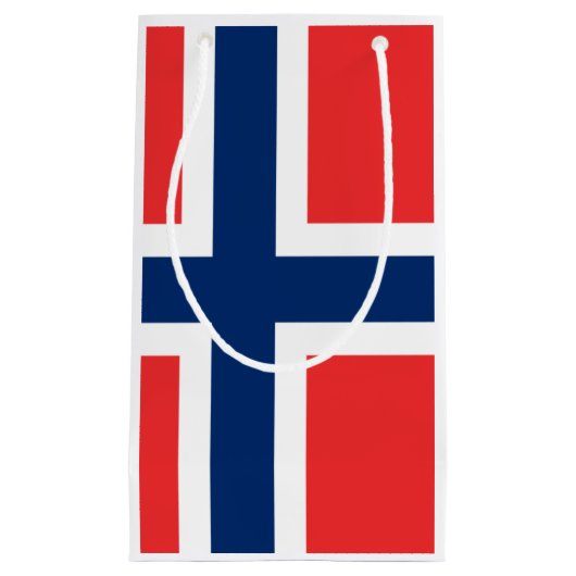 ノルウェー国旗抱き枕 スモールペーパーバッグ (正面)
