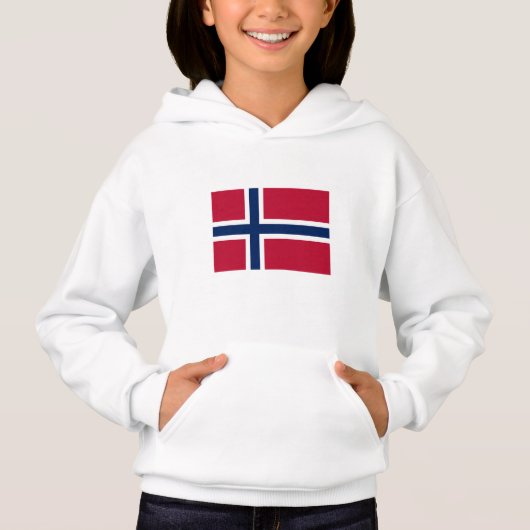 ノルウェー国旗 (正面)