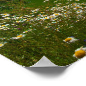 ノルウェー春の花 ポスター (角)