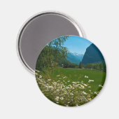 ノルウェー春の花 マグネット (正面/裏面)