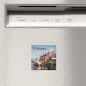 ノルウェー磁石 マグネット (インサイチュ (食洗機))