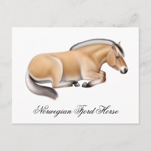 ノルウェー語フィヨルド馬はがき ポストカード (正面)