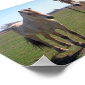 ノルウェー語フィヨルド ポスター (角)