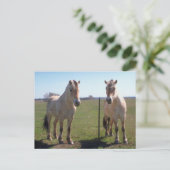 ノルウェー語フィヨルド ポストカード (スタンド正面)