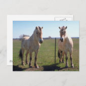 ノルウェー語フィヨルド ポストカード (正面/裏面)