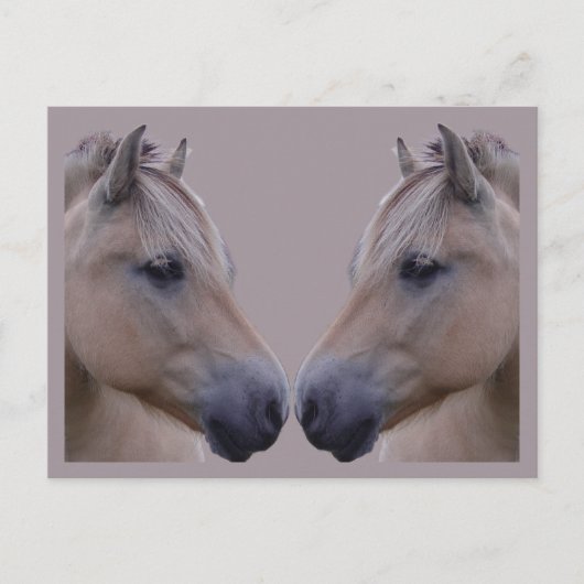 ノルウェー語フィヨルド ポストカード (正面)