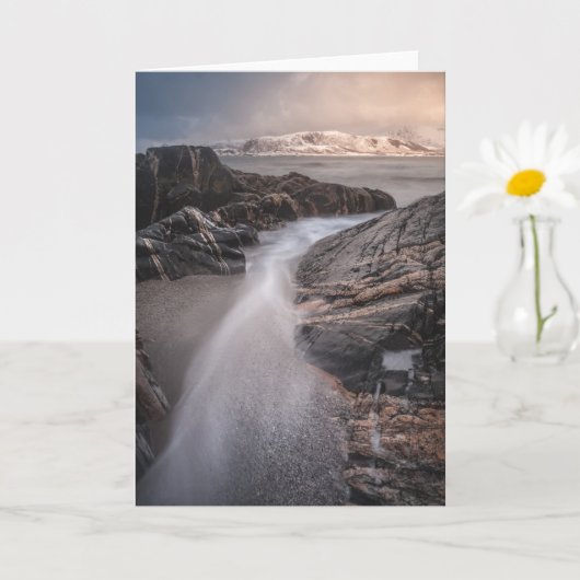 ノルウェー風景写真 カード (小さな植物)