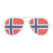 ノルウェー アビエーターサングラス (正面)