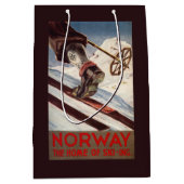 ノルウェー-スキーの家 ミディアムペーパーバッグ (正面)