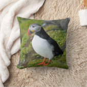 ノルウェー、スバルバード諸島、スピッツベルゲン9 クッション (ブランケット)