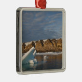 ノルウェー、スバルバード、スピッツベルゲン島、セッティング メタルオーナメント (右)