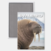 ノルウェー スヴァールバル諸島のセイウチ マグネット (正面/裏面)