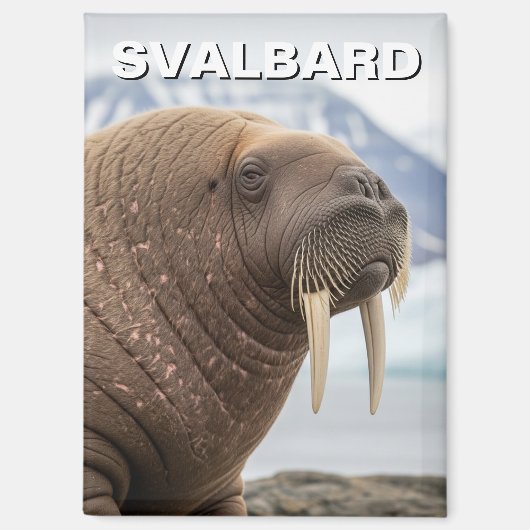 ノルウェー スヴァールバル諸島のセイウチ マグネット (正面)