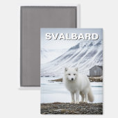 ノルウェー スヴァールバル諸島のホッキョクギツネ マグネット (正面/裏面)