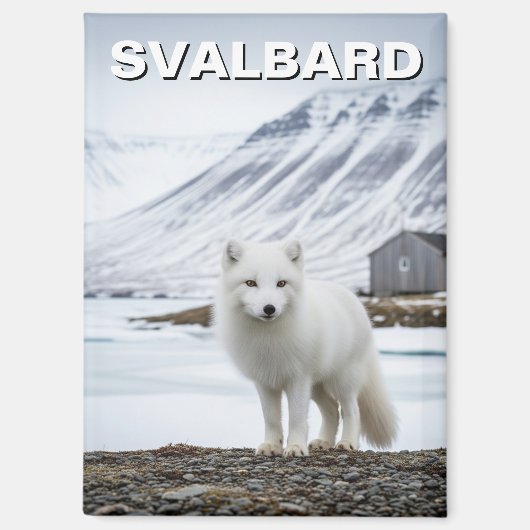 ノルウェー スヴァールバル諸島のホッキョクギツネ マグネット (正面)