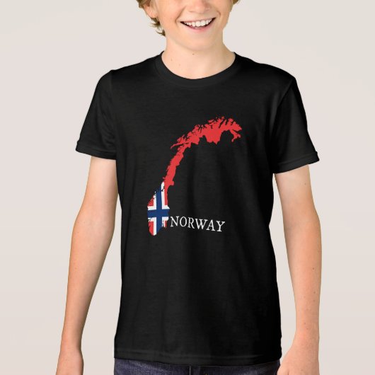 ノルウェー - ノルウェー国旗 トライブレンドTシャツ (正面)