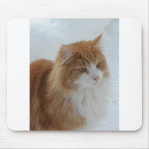 ノルウェー_フォレスト_猫 マウスパッド